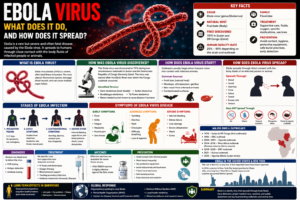 what is ebola