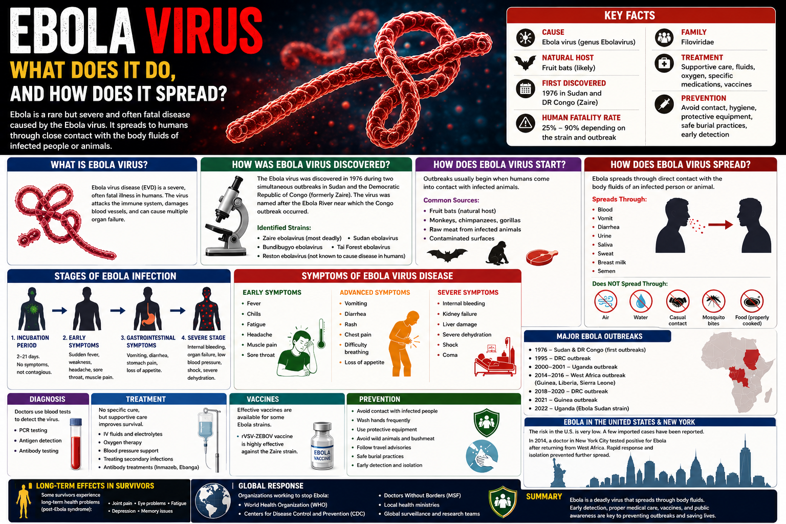 what is ebola